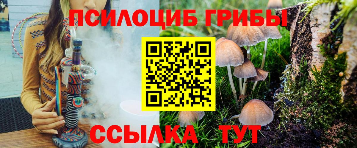 Псилоцибиновые грибы мухоморы Луга
