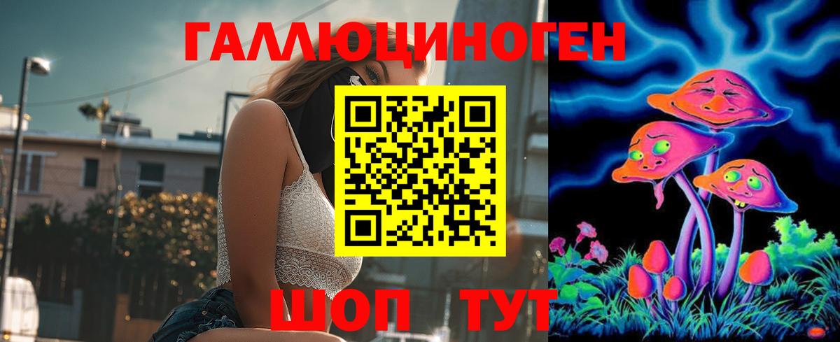 Псилоцибиновые грибы Psilocybe  Вход с VPN  Луга 