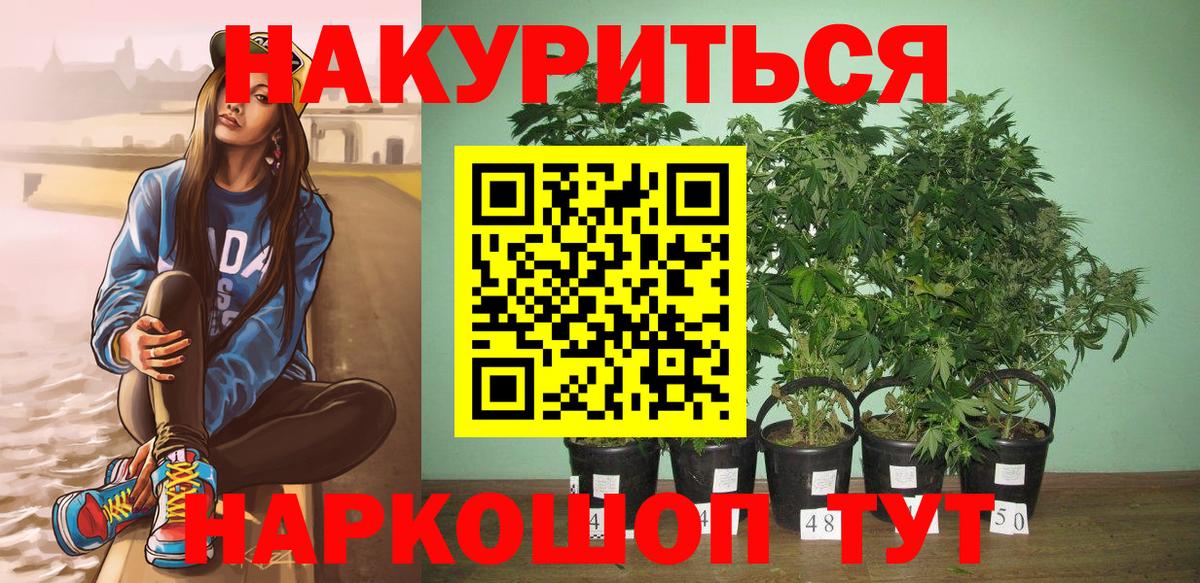 Конопля Ganja Луга